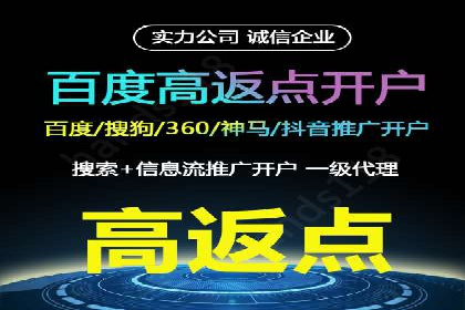 案例分析：信息流平台在电商领域的应用